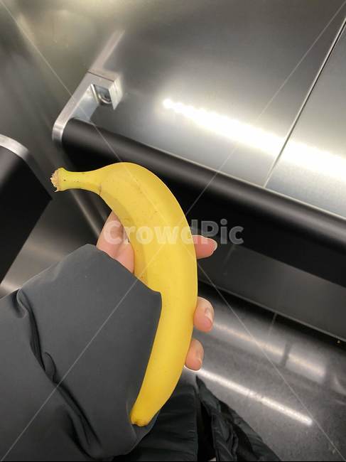 바나나,plant,식물,과일,banana