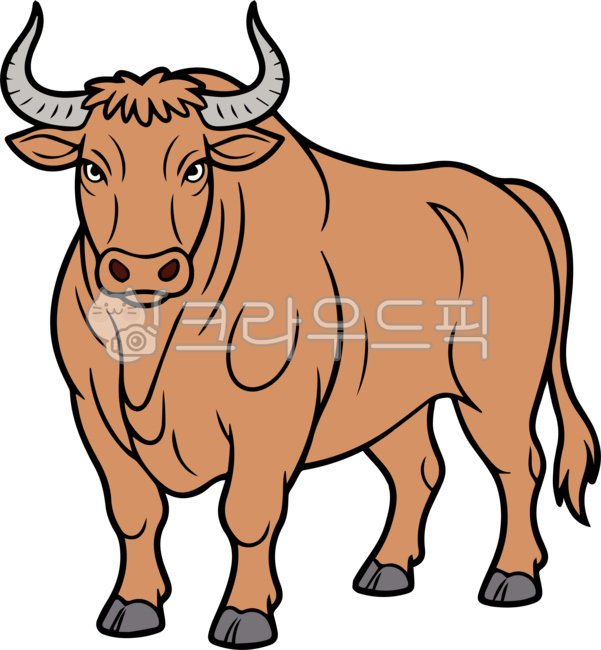 황소,소,bull,수소,수컷,수컷소,불소,ox,우수,포유류,cow,mammal,일러스트,컬러,뿔,소뿔,horn,동물,animal,애니멀