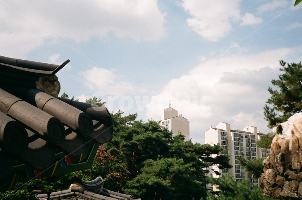 보문사,절,여름,한국,korea,건물
