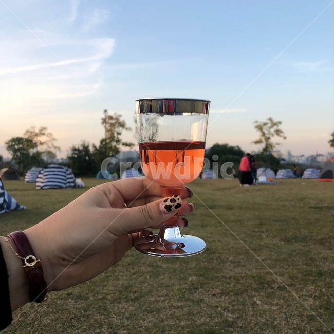 한강,피크닉,와인,로제와인,한강피크닉,레드와인,하늘,자연,봄,나들이,picnic,wine,와인잔,망원지구,반포한강공원,한강공원