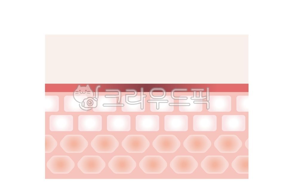 skin structure cross section,beauty,section,make up,cosmetic,illust,epidermis,group,skin care,hand drawing,Medical treatment,ai,Skin tissue,Anatomy,Care,dermis layer,skin layer cross section,skin cross section drawing,skin cross section,care,Skin cross se