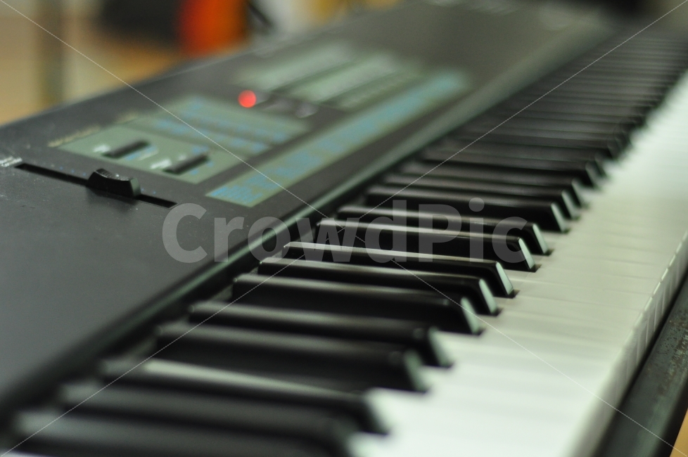 음악,악기,전자피아노,메인피아노,건반,music,musical,musicalinstrument,instrument,keyboard,piano,악기,음향기기,musical instrument,musical equipment