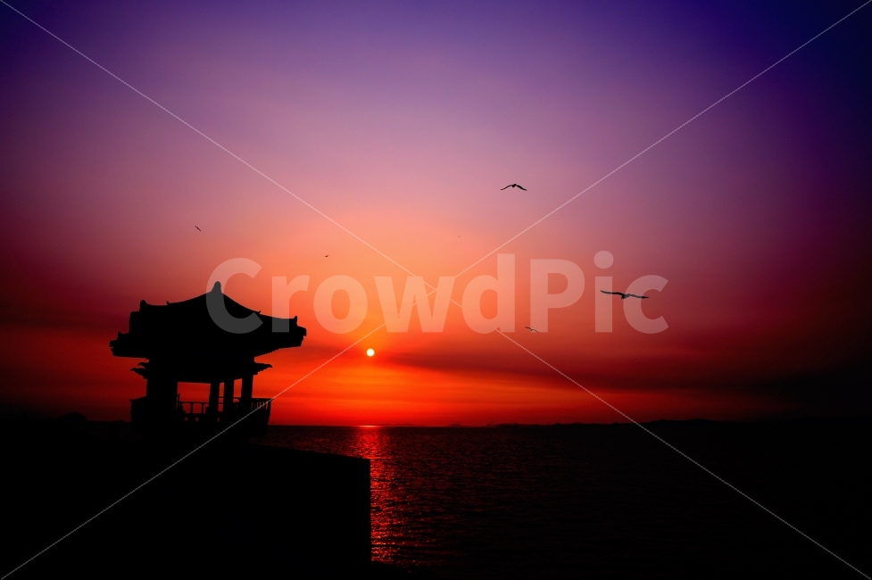 궁평항,궁평낙조,낙조,일몰,태양,갈매기,누각,정자,노을,풍경사진,엽서,화성,여행,서해,서해바다,낚시,갯벌,beach,coast,sunset,sunrise,gull,commongull,twilight,landscape,yellowsea,red,blue,fishing,자연,풍경,nature,landscape,한국전통,한국문화,korean traditional,korean culture,실루엣,그림자,silhouette,shadow,outdoors,옥외,bird,새,animal,동물,dawn,새벽,red sky,붉은 하늘,sky,하늘,dusk,황혼