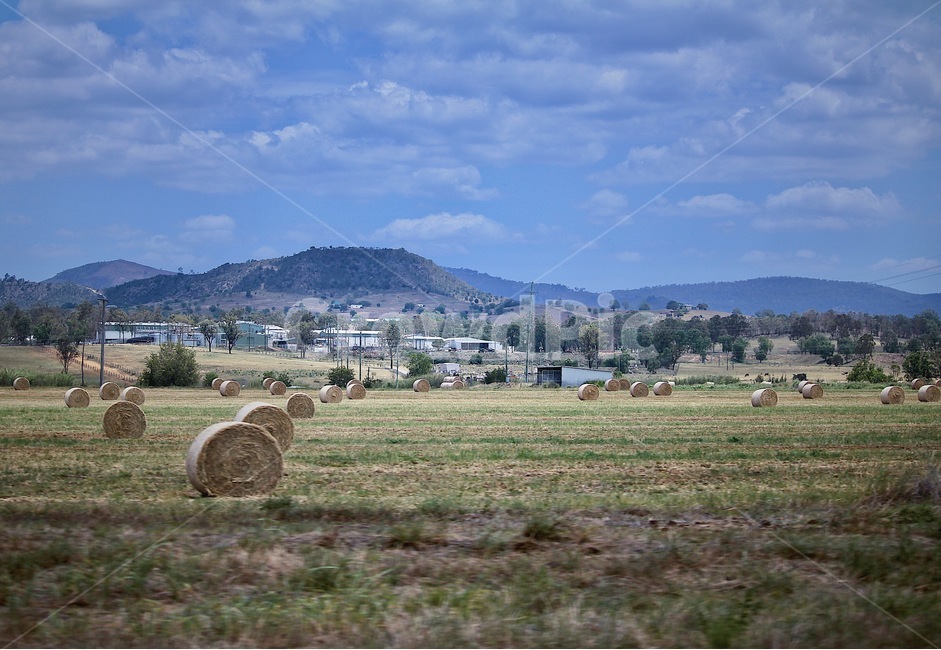 자연,들판,구름,농장,잔디,nature,ground,cloud,farm,grass