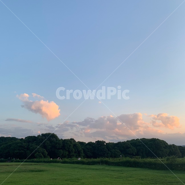 grassland,목초지,field,들,outdoors,옥외,nature,자연,경주,왕릉,릉,하늘,구름,자연,풍경,nature,landscape,한국자연풍경,한국자연경관,korea nature landscape,plant,식물,grass,잔디,weather,날씨