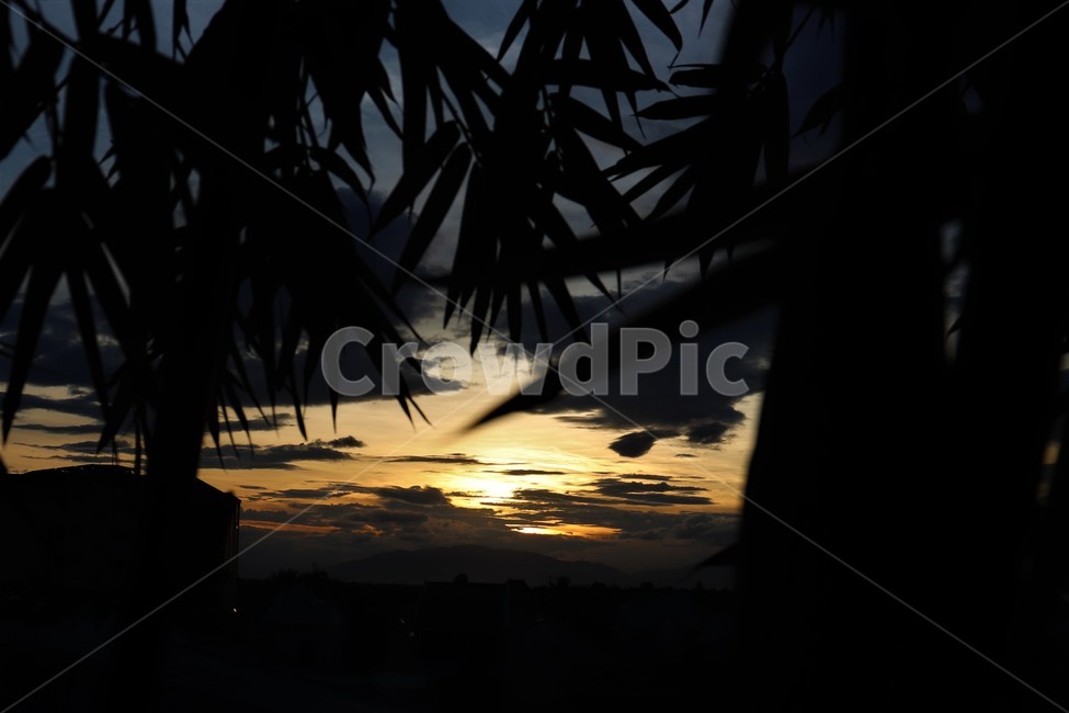 해돋이,해넘이,노을,일몰,일출,sunset,sunrise,나무