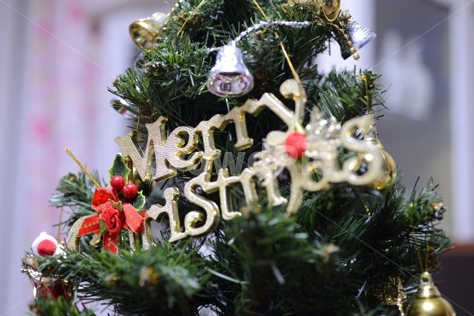 크리스마스,트리,장식,구슬,Christmas,ball,decoration,성탄절,겨울,계절,winter,season,기념일,축하,anniversary,congratulation,celebrate,celebration,메리크리스마스,성탄절,merry christmas,사물,물건,오브젝트,thing,object,matter