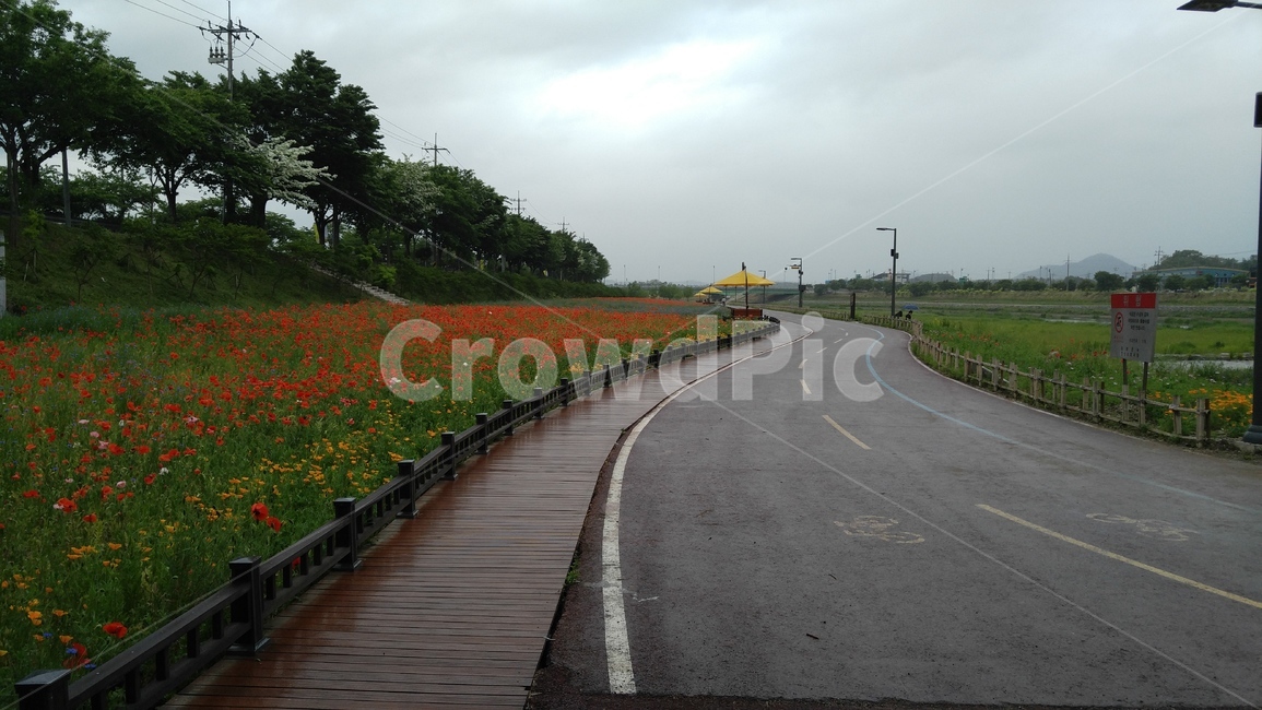 꽃,봄,여름,화사한,꽃밭,산책로,산책,red,빨강,풍경,햇살,구름,배경,nature,flower,flowers,spring,season,landscape,rest,relaxation,color