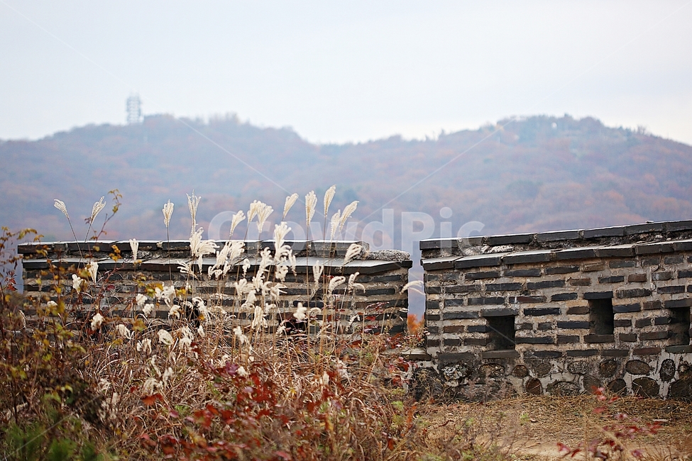 남한산성,성,성곽,단풍,낙엽,길,둘레길,숲,숲길,담,돌담,가을,자연,풍경,벽,울긋불긋,산성,식물,가을,계절,fall,autumn,season