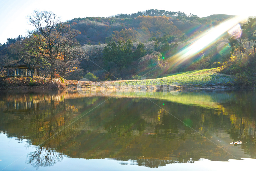 호수,가을,반영,투영,풍경,계절,단풍,나무,숲,가을,계절,fall,autumn,season,자연,풍경,nature,landscape,light,빛,flare,플레어,water,물,outdoors,옥외