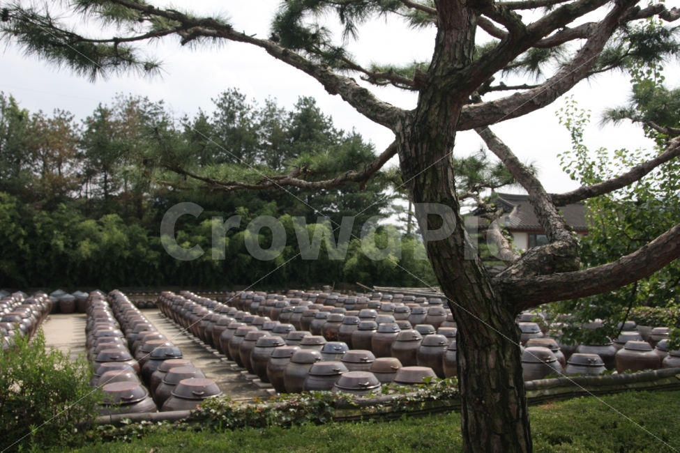 장독대,항아리,전통,고추장,된장,간장,장맛,풍습,p,pot,jar,crock,tradition,custom,한국전통,한국문화,korean traditional,korean culture