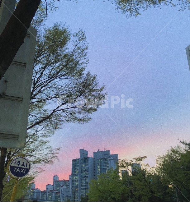 하늘,노을,몽환,감성,풍경,저녁하늘,감성사진,색감
