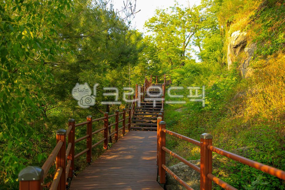 forest,handrail,nature,stairs,trees,trail,walking trail,outdoors,rocks,Gaeunsan Mountain,railing,plants,bushes,bridge,boardwalk,park