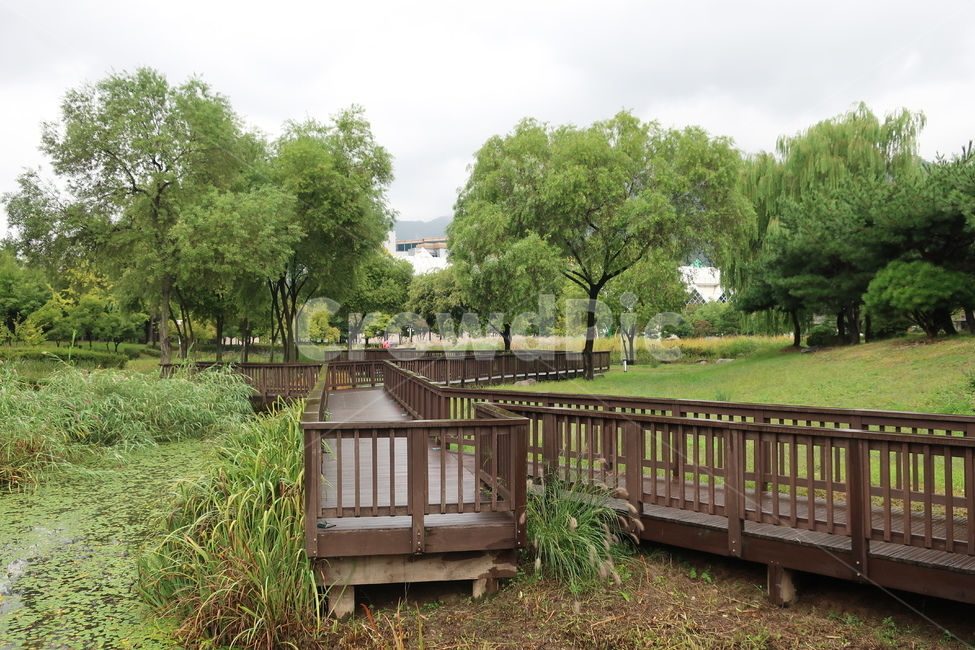 서울,창포원,식물원,도시,공원,습지,조성,숲,산책,산책로,자연,풍경,nature,landscape,grass,잔디,plant,식물,outdoors,옥외