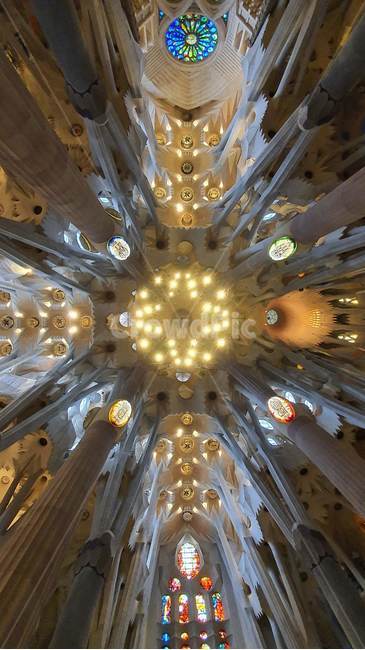 스페인,베르셀로나,사그라다,파밀리아,성당,가우디,spain,sagrada,familia,catholic,church,gaudy,barcelona,건축물,building,lighting