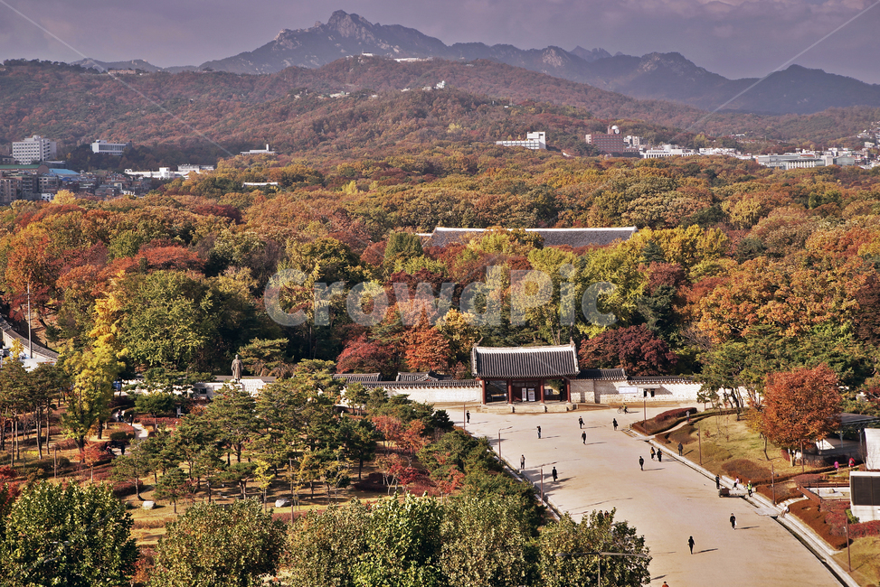 세운상가,종로,아케이드,종묘,서울도심풍경,가을,단풍,계절,종로3가,가을,계절,fall,autumn,season,한국도시풍경,한국도시경관,korea cityscape