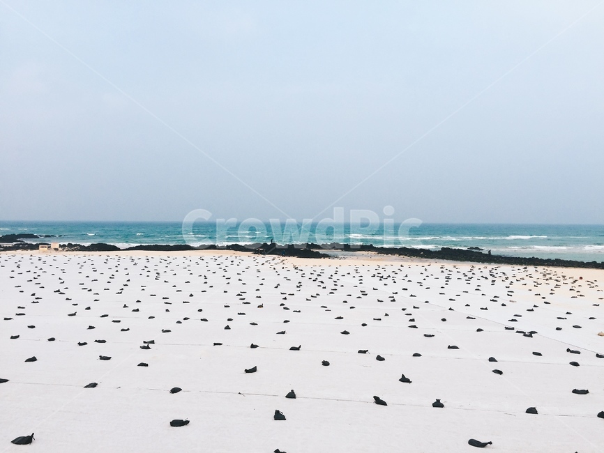 제주도,jeju,바다,beach,jejuisland,제주,제주도바다,제주바다,구름,하늘,수평선,파도
