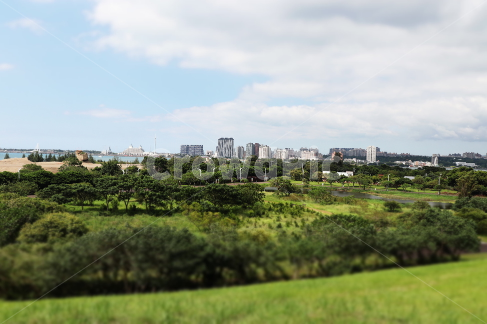 잔디,식물,grass,field,공원,park