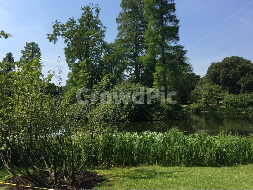 공원,파크,휴식,감성,영국,park,화창한,맑은,큐가든,garden,정원,자연,풍경,nature,landscape,plant,식물,grass,잔디
