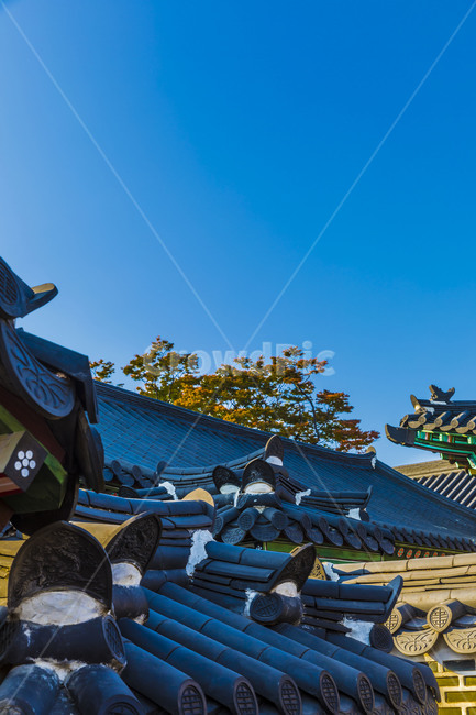 고궁,기와,하늘,창경궁,문화유산,기와담장,문화재,한국의미,한국전통,한국문화,korean traditional,korean culture,건축물,건물외관,exterior,building,structure,architecture,construction