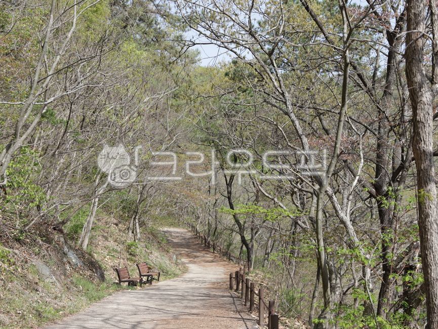 leaf of grass,april,branch,Pebble,spring,trail,path,tree trunk,awalkingtrail,road,season,sidewalk,bench,walkingtrails,tree,walkway,gravel,plant,walking path,Bench,color,In May,vegetation,treetruak,summer,plants,jeonnamhwasun,treetrunk,grassleaf,green,may,