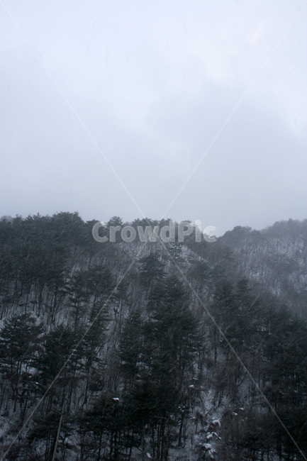 겨울,산,나무,눈,풍경,snow,겨울,계절,winter,season,자연,풍경,nature,landscape,weather,날씨,outdoors,옥외