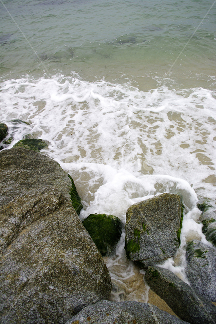 바위,바다,풍경,파도,sea,자연,풍경,nature,landscape,plant,식물