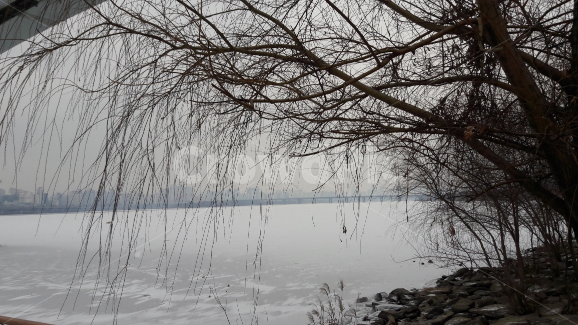 한강,얼음,다리,나무,겨울,겨울,계절,winter,season,식물,자연,plants,nature,나무,trees,wood