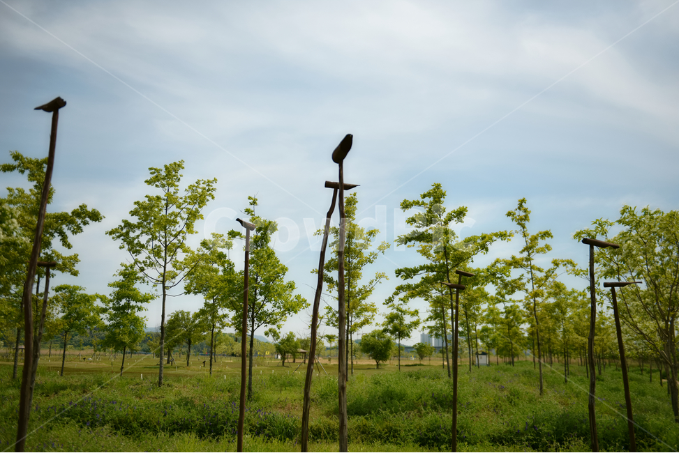 꽃,자연,접사,힐링,신선함,season,plants,nature,flower,sensible,feeling,색깔,색상,색채,색감,colorsense,colorsensitivity,feelingofcolor,감성,평온함,느낌,휴식,녹색,하늘