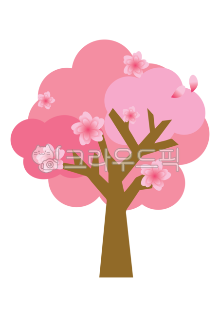 spring,cherry blossom tree,pink,Cherry Blossom,petal,tree,flower