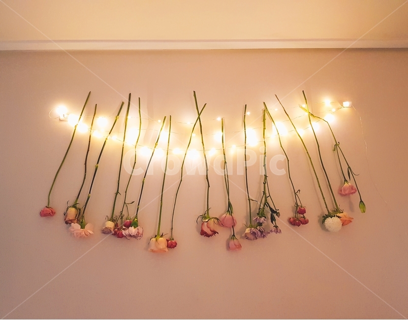 interior,홈데코,조명,lighting,flower,꽃장식,집꾸미기,인테리어,실내디자인,interior design