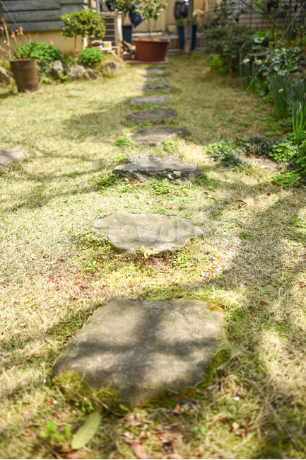 ground,바닥,돌,잔디,정원,마당,초록색,햇빛,여름,집,식물,길