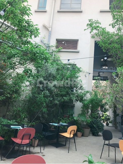 보타닉,식물,카페,식물카페,나무,식물,자연,plants,nature