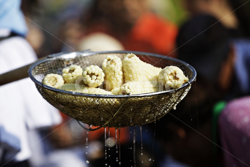 옥수수,corn,농산물,먹거리,강냉이,음식,식재료,요리,food,cook,meal,dishes,food reserves,곡류,곡식,cereals