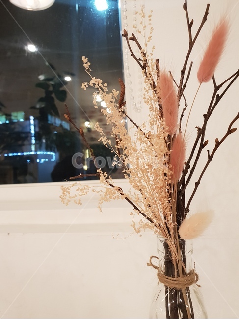 조화,꽃,유리병,밧줄,나뭇가지,유리창,조명,카페