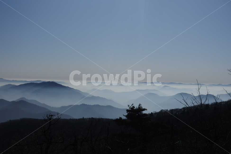 발왕산,산,정상,풍경,운무,안개,몽환적인,실루엣,자연,야외,자연,풍경,nature,landscape