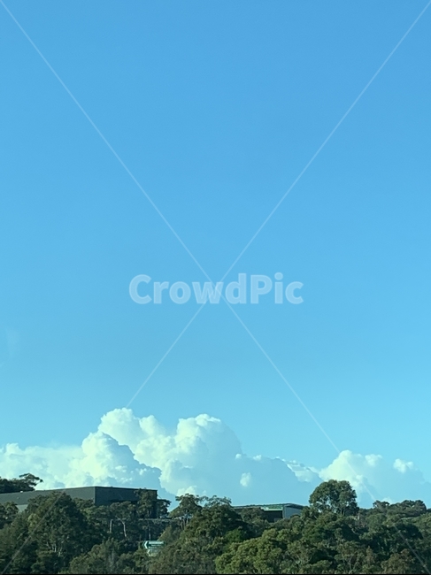 하늘,자연,sky,구름,맑음,배경,cloud,clear,background,weather,nature,forest,trees,outdoors,옥외