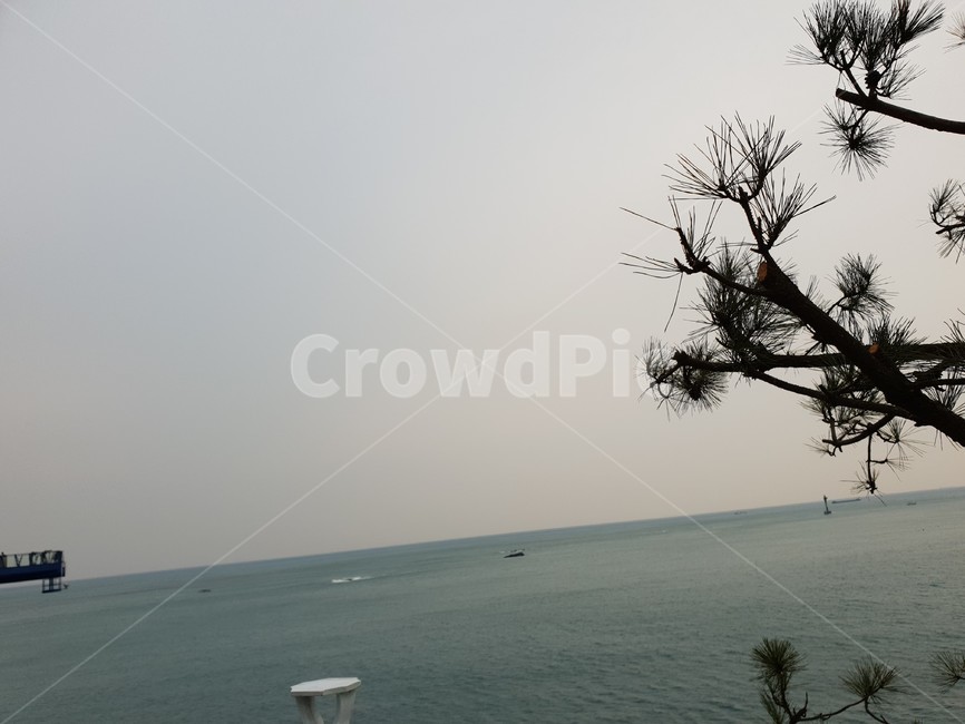 바닷가,바다,먼바다,수평선,부산바다,잔잔한바다