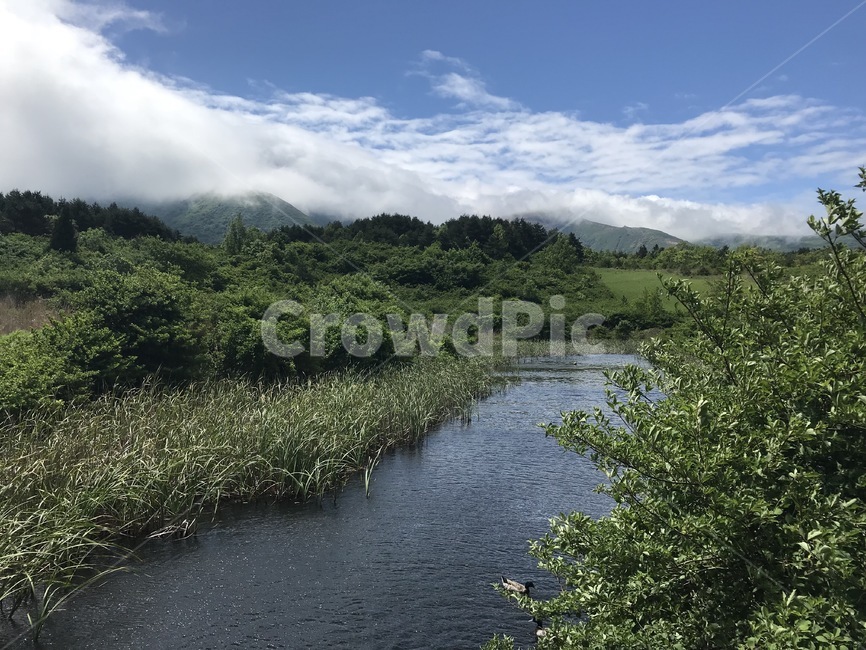 자연,강,숲,산,하늘,구름,파랑,초록,일본