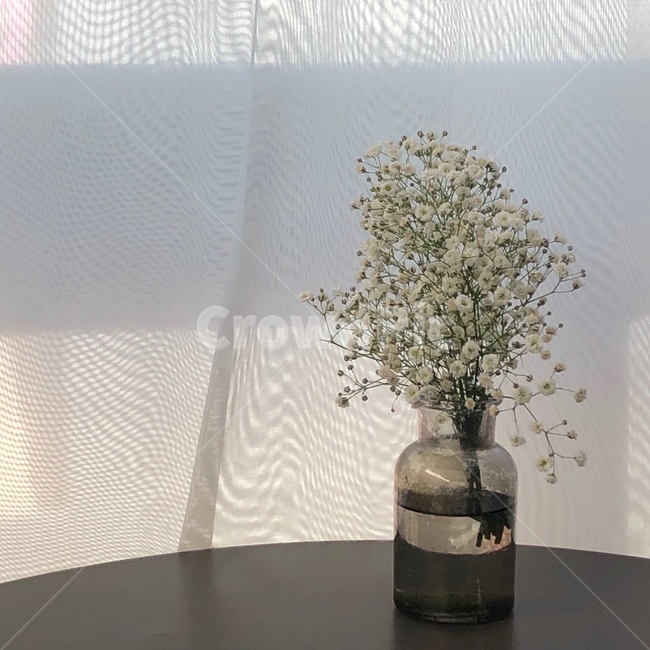 화분,카페,힐링,감성,꽃병