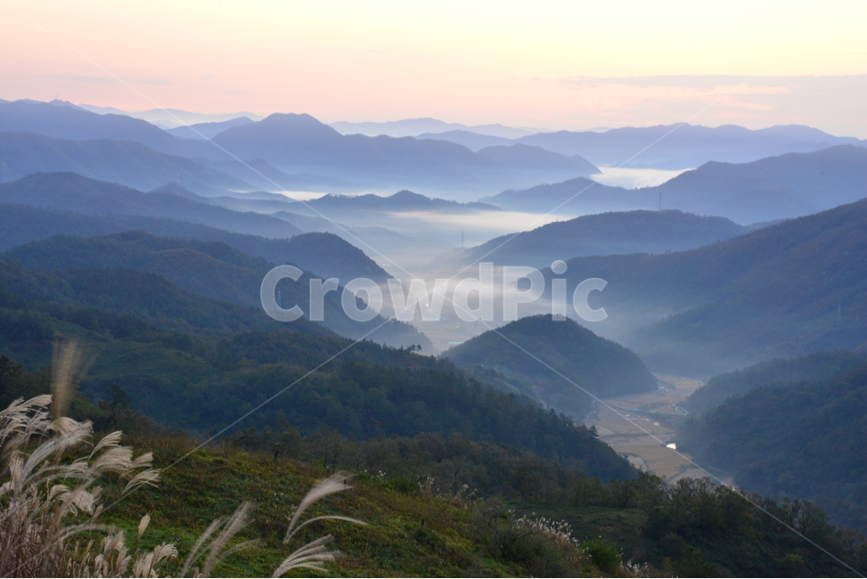 영암,서광목장,활성산,일출,여명,아침,해돋이,억새,nature,자연,outdoors,옥외,mountain,산,운해,mountainrange,산맥,plant,식물,grass,잔디,slope,경사,자연,풍경,nature,landscape,한국자연풍경,한국자연경관,korea nature landscape