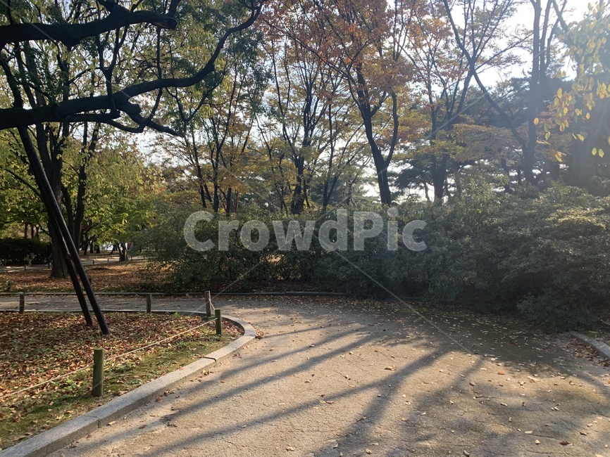 human,인간,person,사람,식물,나무,자연,정원,plant,풍경,산책로,산책길,tree