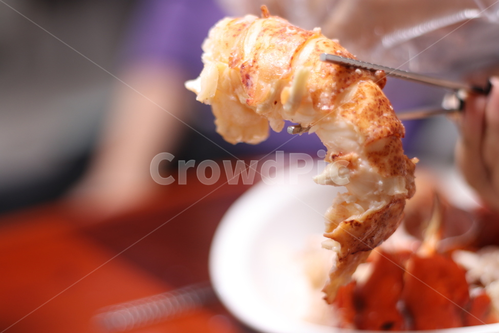 랍스타,해산물,랍스터,찜솥,딸기뷔페,딸기요리,딸기,빵,디저트,과일,lobster,바닷가재