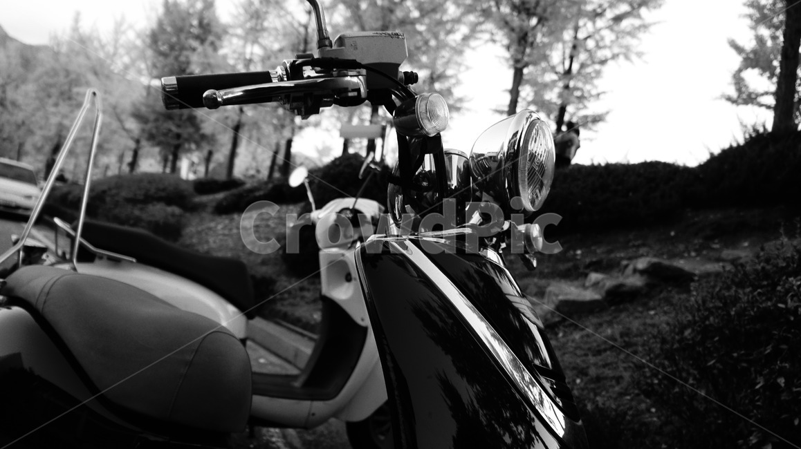 베스파,젊음,낭만,스쿠터,자유,로망,데이트,transportation,오토바이,motorcycle