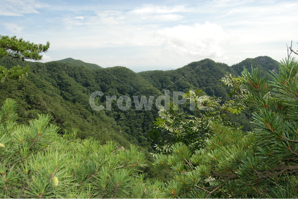 hikingtrail,cloud,mountain,summer,산,자연,풍경,nature,landscape,outdoors,옥외