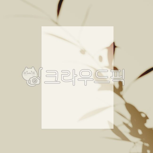 그림자,목업,백그라운드,브로슈어,책,포스터,액자,효과,나뭇잎,잎,오버레이,실사,투명한,파스텔,나무,텍스처,리플렛,프레임,배너,여름,편지,명함,편지지,종이