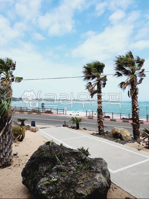 summer,여름,nature,자연,sky,하늘,제주도