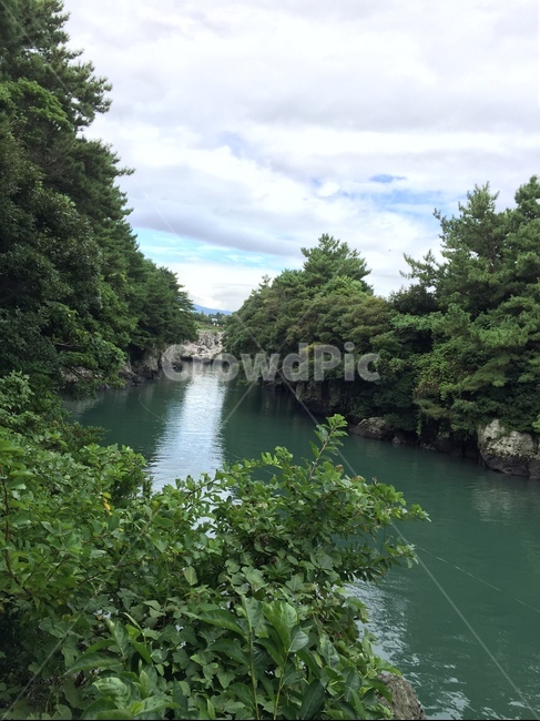 제주도,바다,호수,쇠소깍,자연,숲,자연,풍경,nature,landscape,water,물,outdoors,옥외