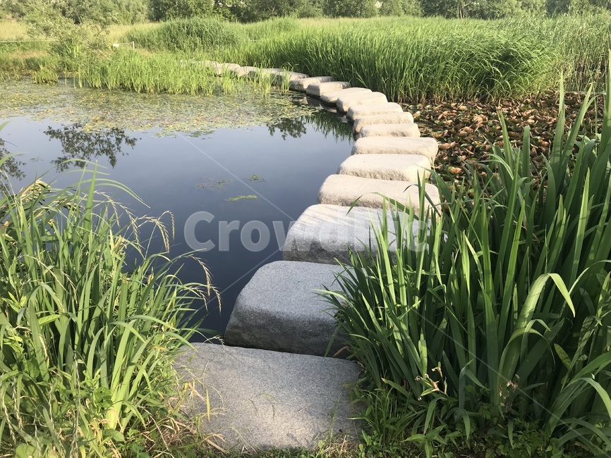 돌다리,수풀,자연,배경,산책