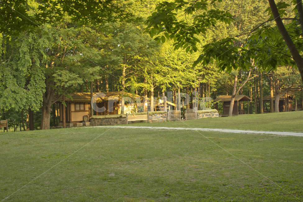 남이아일랜드,산림,숲속,한국,공원,정원,실외,야외,숲,나무,식물,자연,풍경,잔디,잔디밭,녹색,그린,초록색,낮,춘천,남이섬,나미나라,대한민국,풀,들,수풀,삼림,들판,경치,전원풍경,전원경치,오솔길,길,산책로,나뭇가지,오두막,집,하우스,시골,시골집